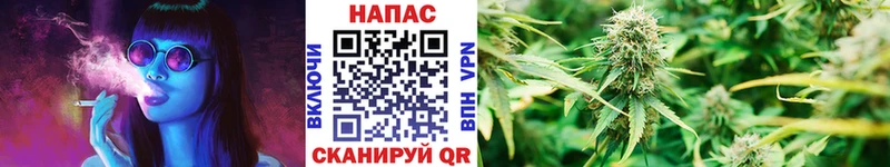 mega маркетплейс Всеволожск Марихуана семена цена